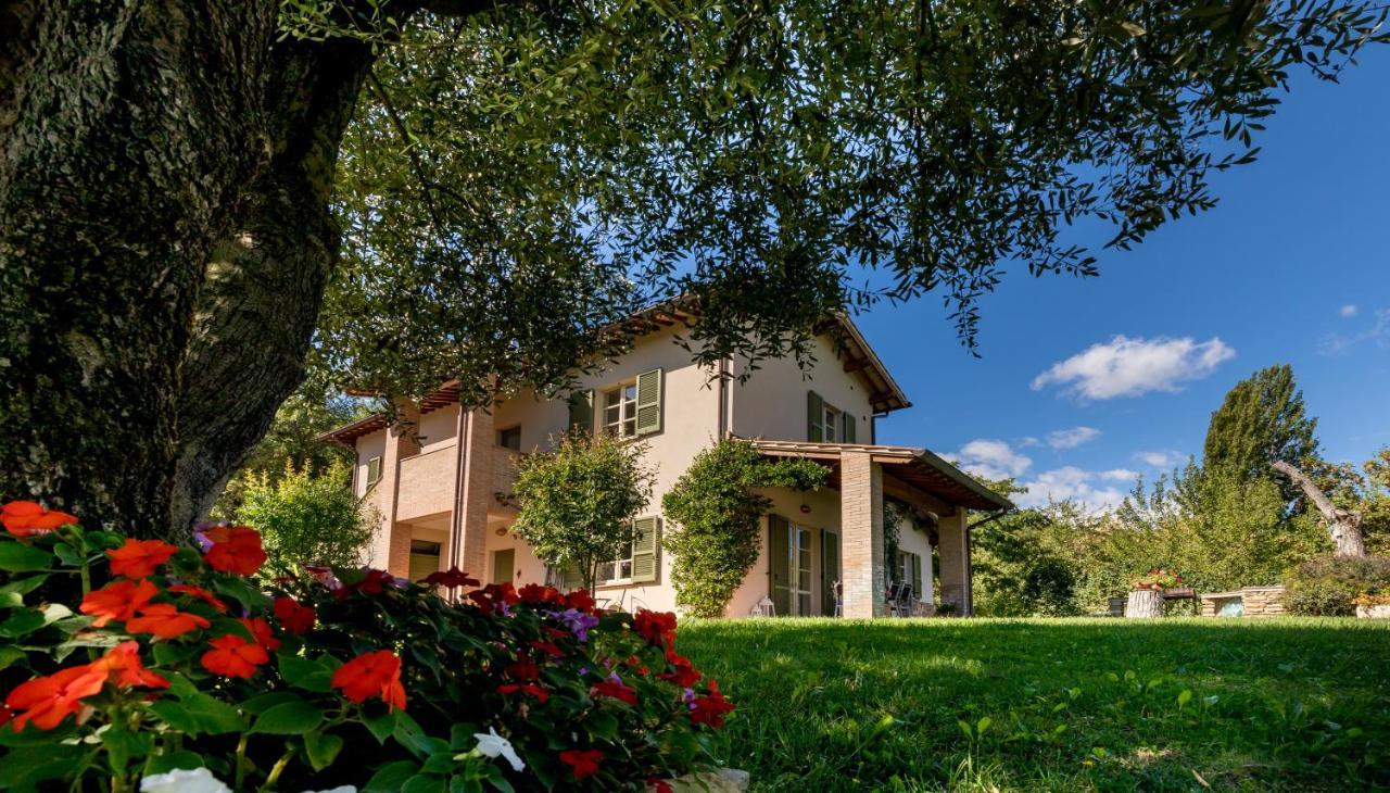 Altra Meta B&B Gubbio Extérieur photo